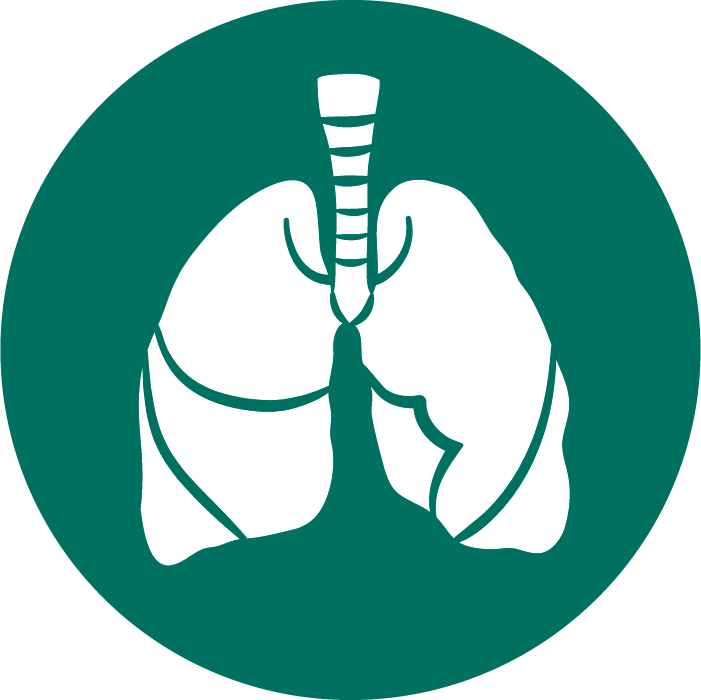 Illustration of lungs.